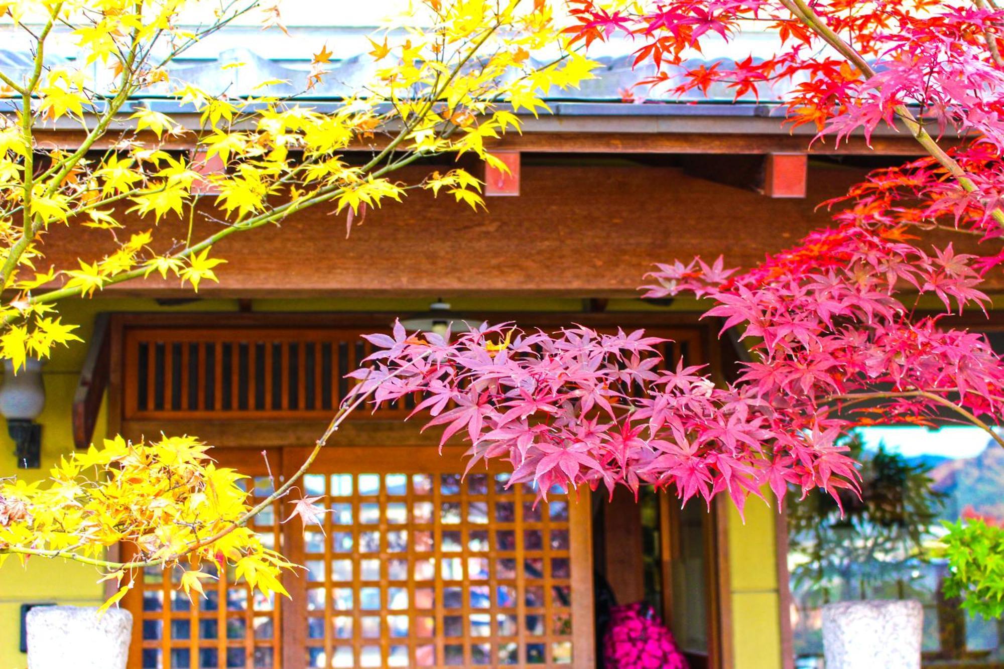 Stay Sakura Kyoto Nijo Castle West I 外观 照片